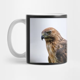 Red Tailed Hawk Stare Down Mug